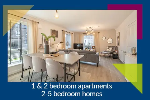 Phase 2 now on sale, undefined