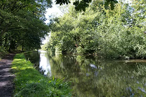 Coming Soon - Meadow Brook, undefined