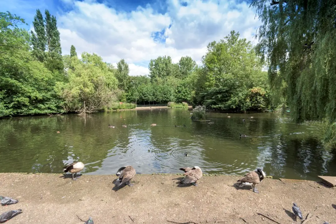 Move to Peckham this Summer, undefined