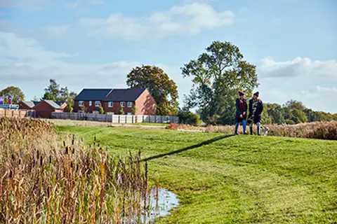 Chester Meadows, Pelton Fell, undefined