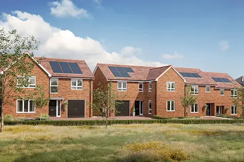 Chester Meadows, Pelton Fell, undefined