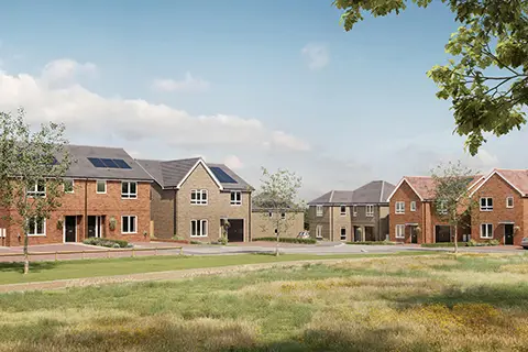 Chester Meadows, Pelton Fell, undefined