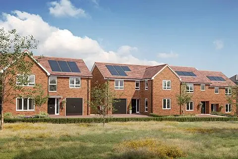 Chester Meadows, Pelton Fell, undefined