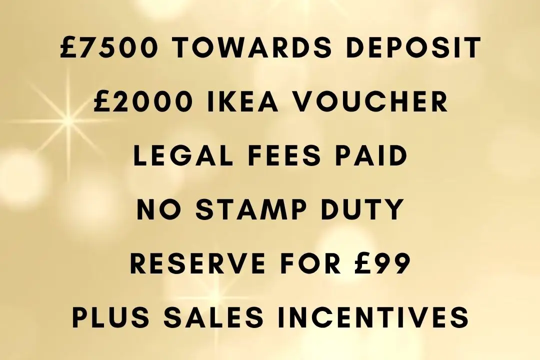 Black Friday Offer Reveal, undefined