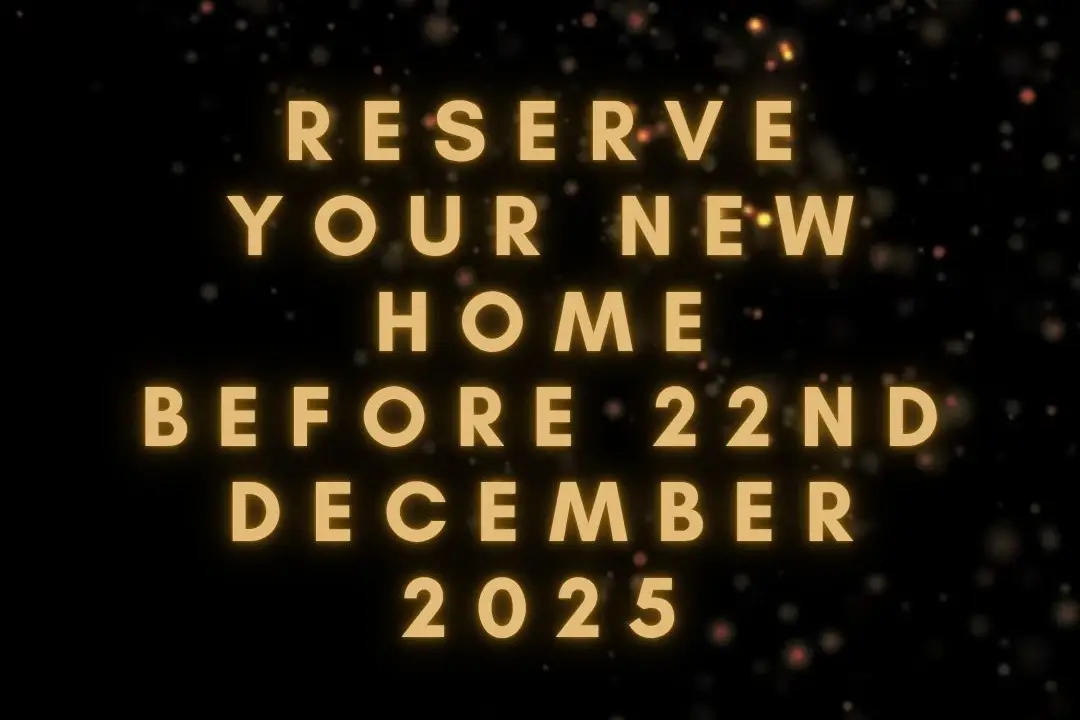 Black Friday Offer Reveal, undefined