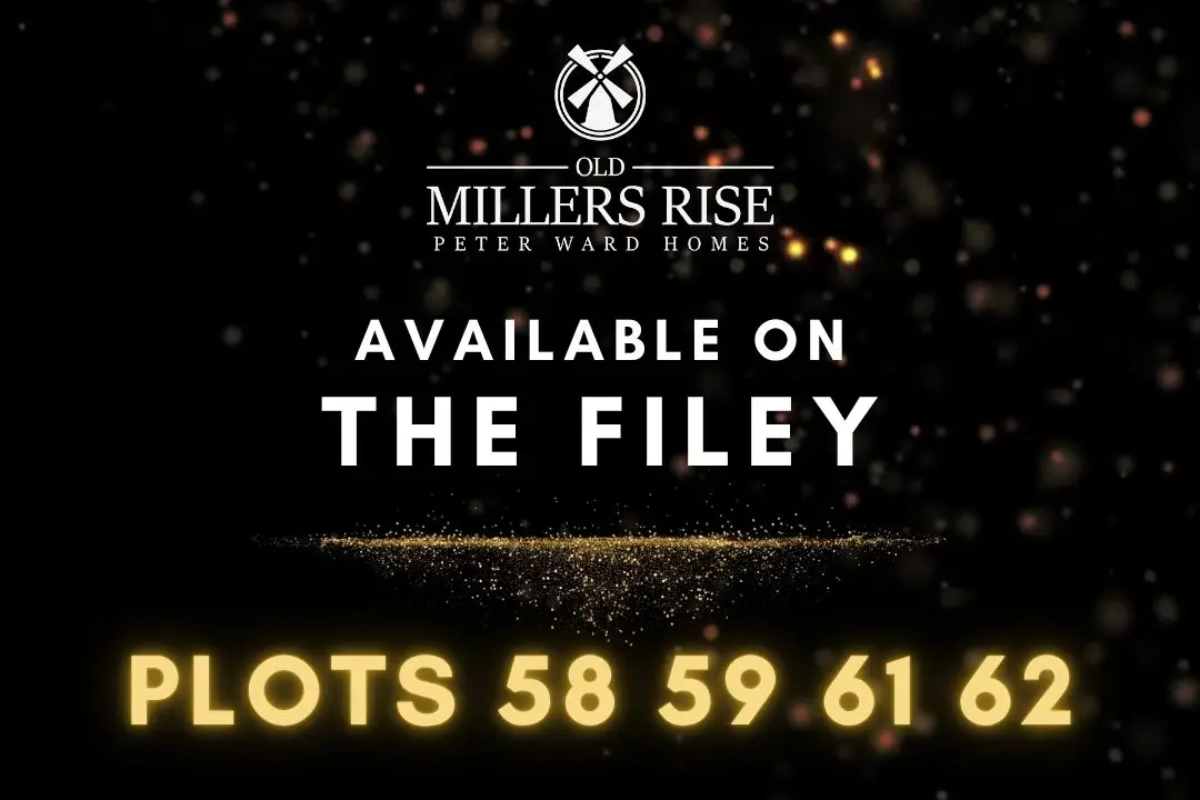 Black Friday Offer Reveal, undefined