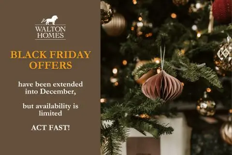 BLACK FRIDAY OFFERS EXTENDED, undefined