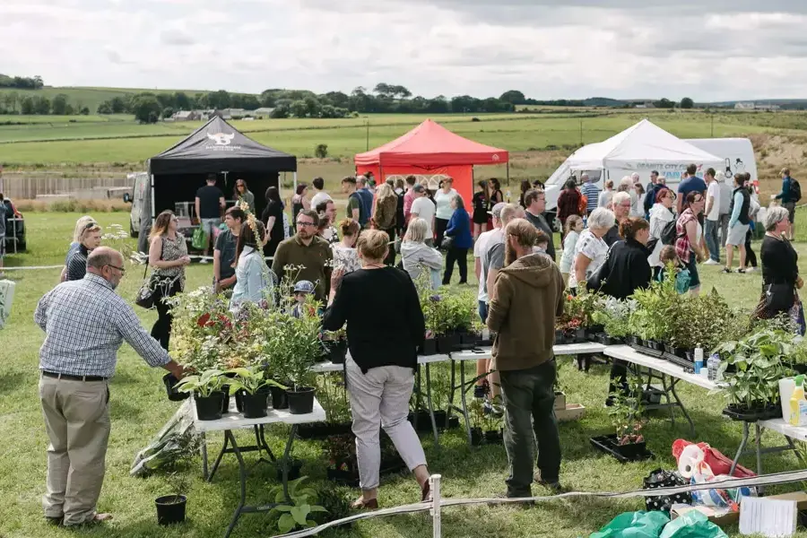 Discover your dream home, undefined