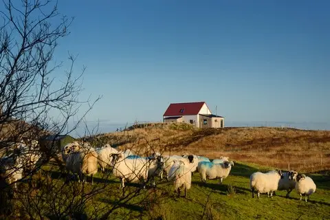 Made on Skye Architect Design, undefined