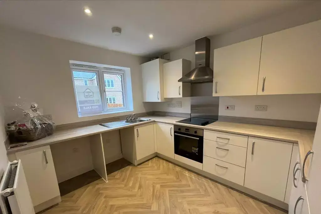 Application Open!, undefined