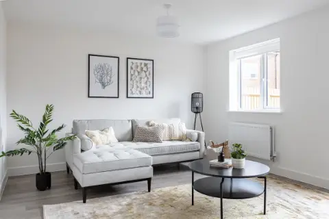 Brand New Homes To Rent, undefined