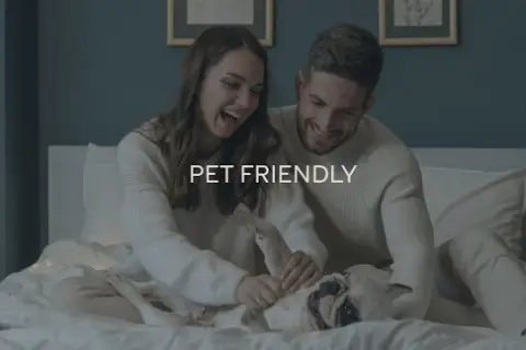 Brand New Homes To Rent, undefined