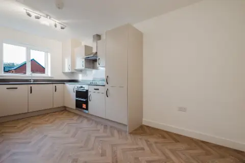 Brand New Homes To Rent, undefined