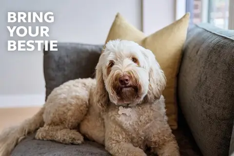 Live Your Best Life at Home, undefined