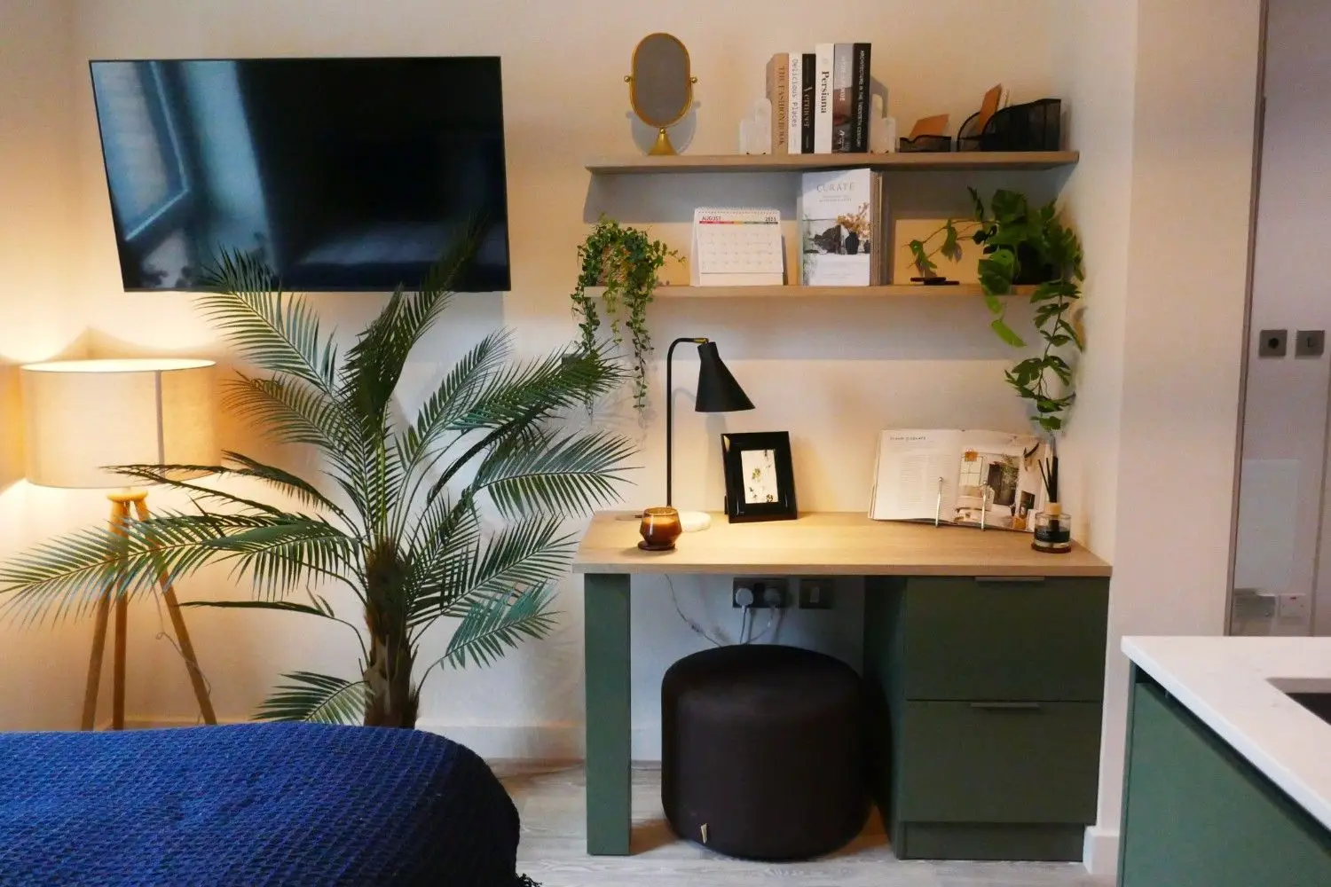 Rent a Studio in Kingston, undefined