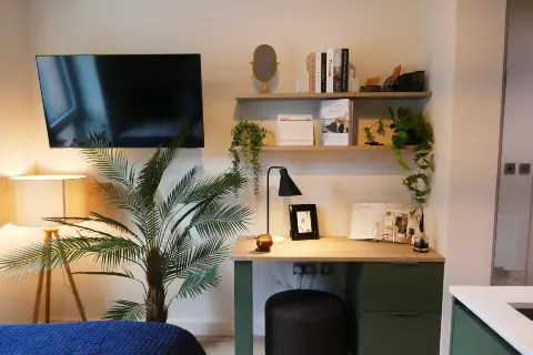 Rent a Studio in Kingston, undefined