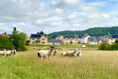 Village living in Alderton, undefined