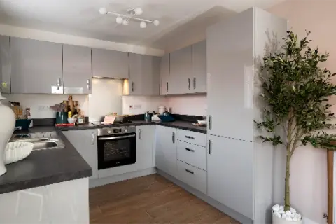 New build homes from 10% share, undefined