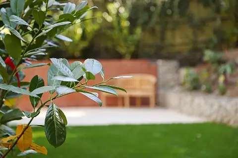 Luxury Homes, Timeless Style, undefined