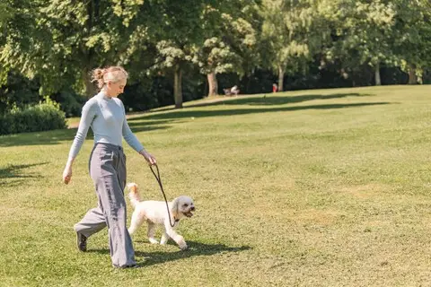 Discover Park Quarter Phase 2, undefined