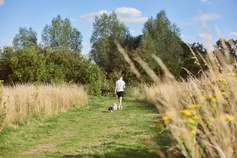 Wattons | 40% sold off plan, undefined