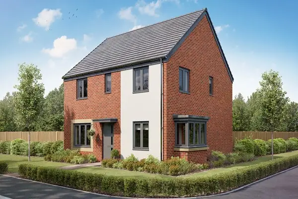 Live Close to the Coast & City, undefined