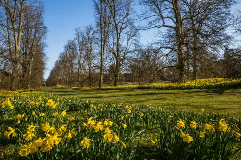Charles Church @ Abbots Vale, undefined