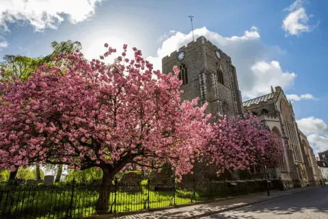 Charles Church @ Abbots Vale, undefined