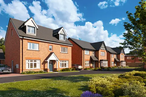 ★Wrap up for 2025!★, undefined