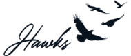Hawks