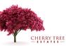 Cherry Tree Estates - Bristol