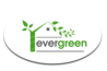 Evergreen Residential Property - Rochester