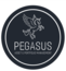 Pegasus Asset and Portfolio Management