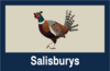 Salisburys Estate Agents Ltd - Tavistock