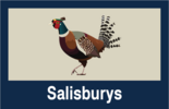 Salisburys Estate Agents Ltd - Tavistock