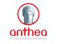 Anthea Lettings - Highbury