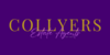 Collyers Properties - Barnstaple