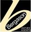 Bergason Estate Agents - Lichfield