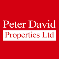 Peter David Properties