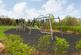 Additional image 13 of Collaton at Aston Grange Off Banbury Road, Upper Lighthorne, Leamington Spa CV33