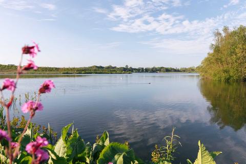 Harron Homes - Shipley Lakeside for sale, Shipley Lakeside, Derbyshire, Derbyshire, DE75 7NT