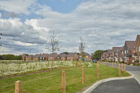 Bellway Homes - Cedarbrook Rise for sale, Burton Lane, Goff's Oak, EN7 6SG