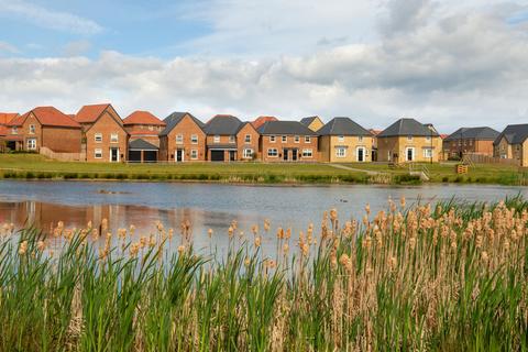 David Wilson Homes - Highgrove at Wynyard Park, TS22 for sale, Attenborough Way, Wynyard, Stockton on Tees, TS22 5FD