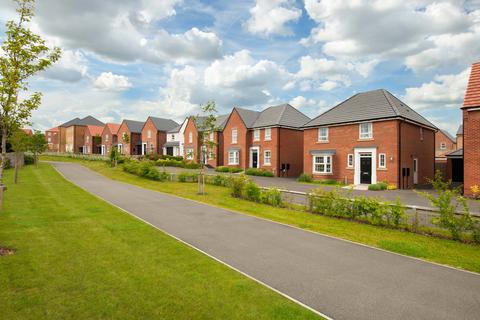 David Wilson Homes - Elm Tree Park for sale, Blidworth Lane, Rainworth, Mansfield, NG21 0HF
