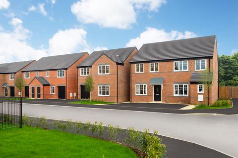 Avant Homes - Brompton Mews for sale, Cookson Way, Catterick Garrison, DL9 4XG