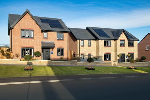 Bellway Homes - Meadowcroft for sale, Off Front Street, Longframlington, NE65 8BZ