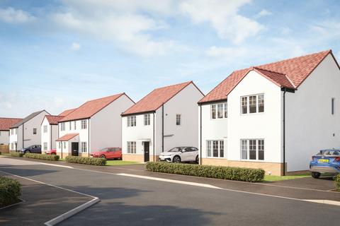 Avant Homes - Thistle Meadows for sale, Scott Glynn Walk, Tranent, EH33 2PR