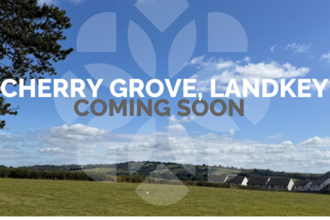 Allison Homes - Cherry Grove for sale, Birch Road, Landkey, Barnstaple, EX32 0FG