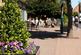Additional image 13 of Maidstone at Barratt Homes at Thoresby Vale Ollerton Road, Edwinstowe, Mansfield NG21
