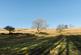 Additional image 19 of Plot 10, The Bamburgh at The Meadows, Laithe Avenue Kirklees HD9